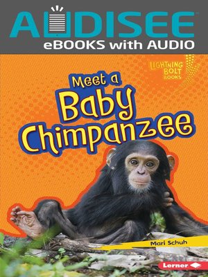 cover image of Meet a Baby Chimpanzee